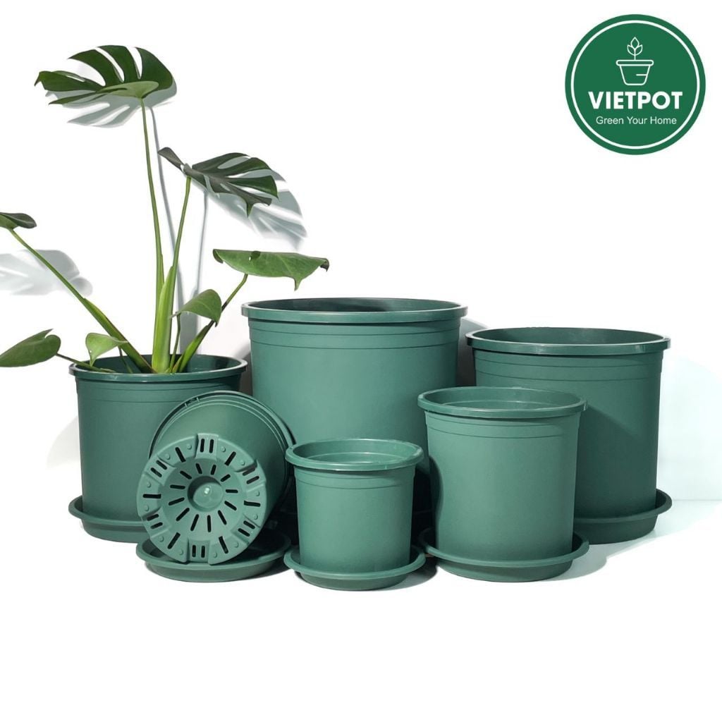  Chậu nhựa trồng cây VIETPOT, màu xanh trơn, trồng hoa kiểng, hoa hồng, để bàn, ban công, sân vườn 