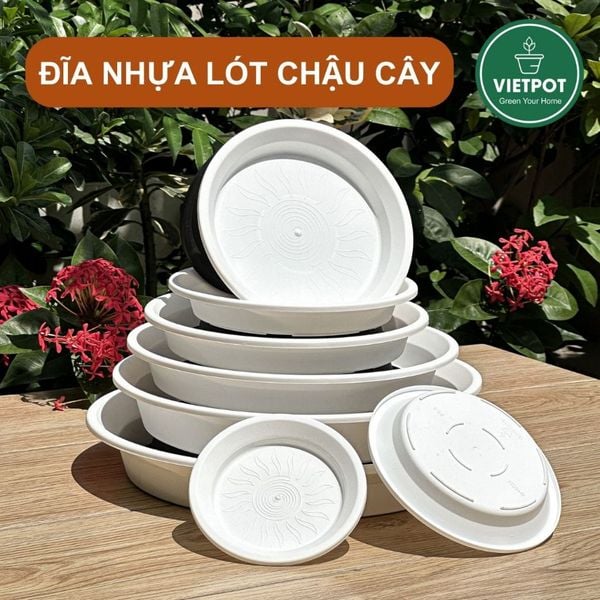  Đĩa nhựa mỏng nhẹ lót chậu cây VIETPOT, màu trắng, cây cảnh, trang trí nhà vườn, ban công 
