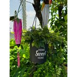  Chậu nhựa treo ban công VIETPOT, hoa văn sweet home, cây kiểng, cây hoa, trang trí sân vườn. 