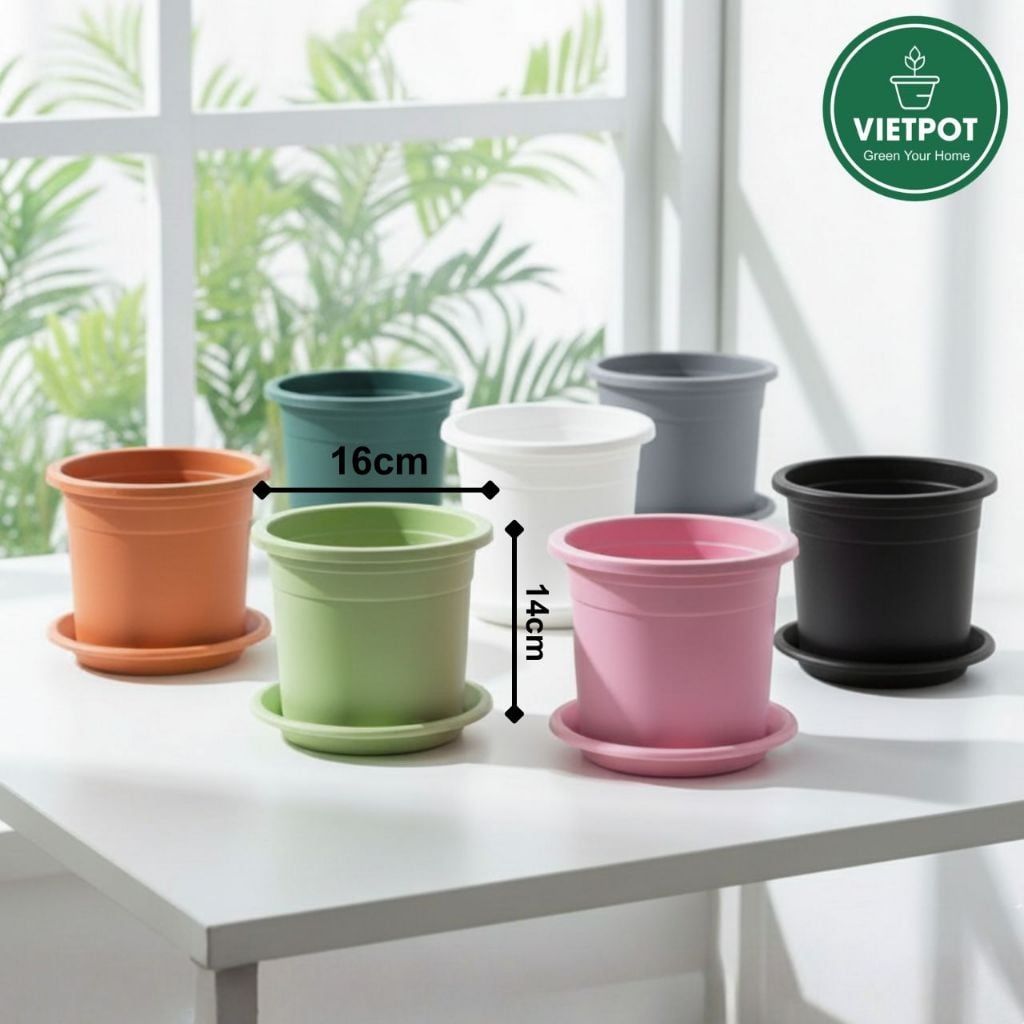  Chậu nhựa trồng cây VIETPOT, size 16x14, Trơn, kiểng lá, hoa hồng, để bàn, trang trí sân vườn. 