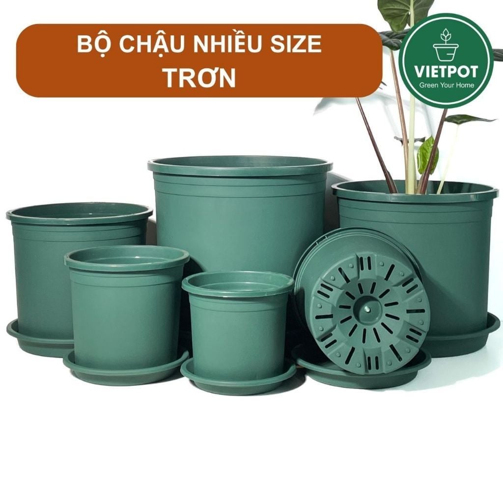  Chậu nhựa trồng cây VIETPOT, màu xanh trơn, trồng hoa kiểng, hoa hồng, để bàn, ban công, sân vườn 