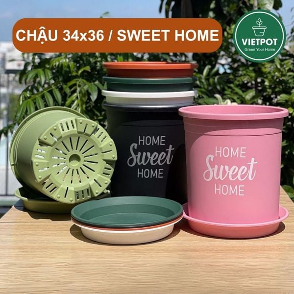  Chậu nhựa trồng cây VIETPOT, size lớn 34x36cm, 6.6gal, Sweet home, trồng hoa kiểng để sân vườn nhà. 