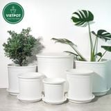  Chậu nhựa trồng cây VIETPOT, màu trắng trơn, trồng hoa kiểng, hoa hồng, để ban công, sân vườn. 