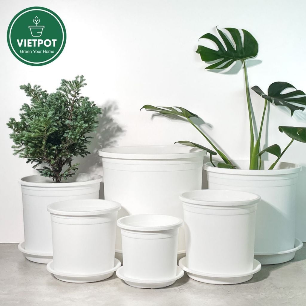  Chậu nhựa trồng cây VIETPOT, màu trắng trơn, trồng hoa kiểng, hoa hồng, để ban công, sân vườn. 