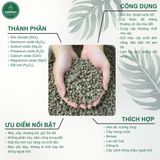  Đá Pumice VIETPOT, bao 800gr, size nhỏ, giá thể trồng cây cung cấp khoáng chất cho hoa, xương rồng 