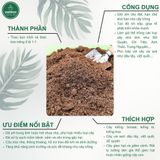  Rêu than bùn peatmoss VIETPOT, bao 500gr, tơi xốp, sạch mầm bệnh, thích hợp trồng hoa kiểng lá 