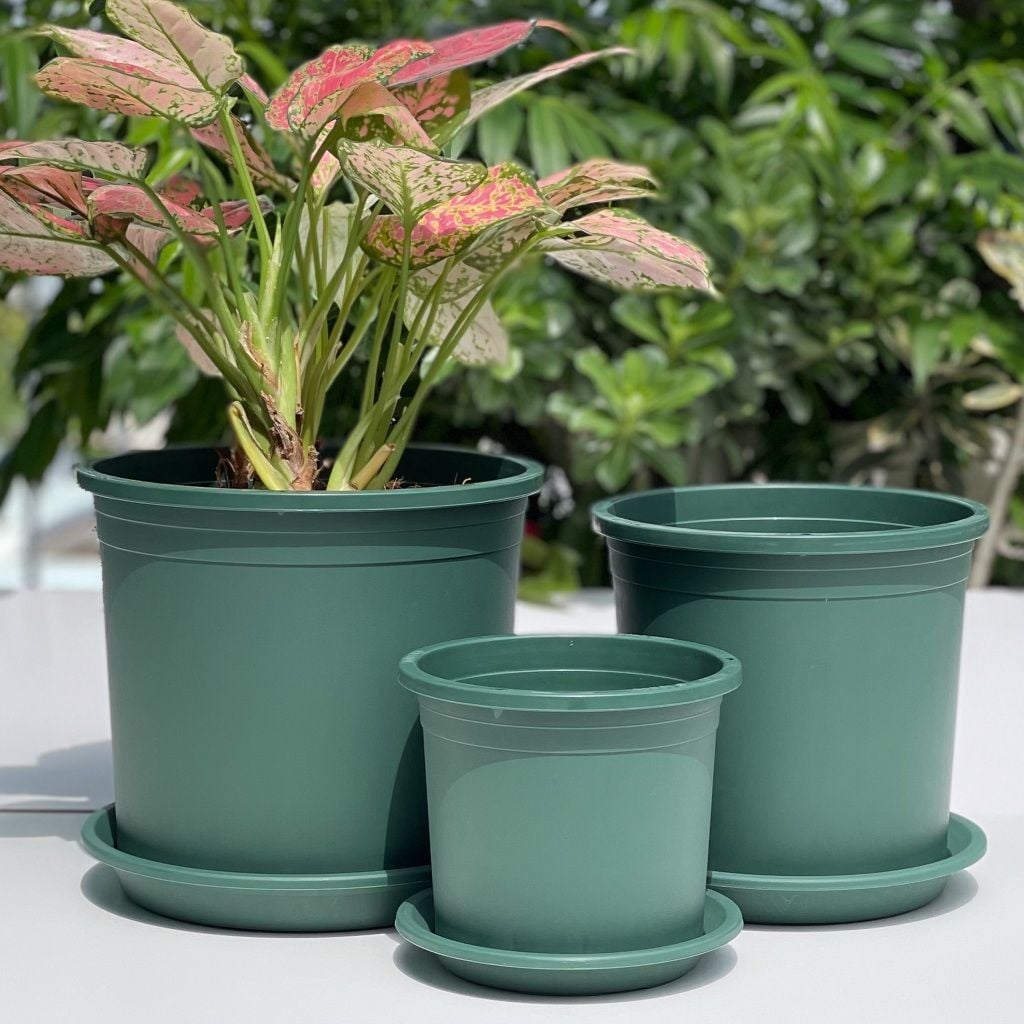  Chậu nhựa trồng cây VIETPOT, màu xanh trơn, trồng hoa kiểng, hoa hồng, để bàn, ban công, sân vườn 