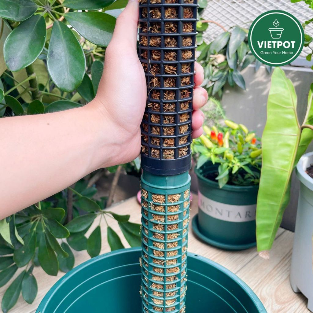  Trụ nhựa đã nhét rêu rừng VIETPOT, 29cm, vừa khớp gắn trụ chậu nhựa VIETPOT, trụ có thể gắn nối dài. 