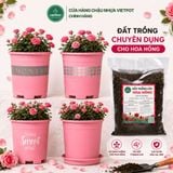  Đất trồng hoa hồng VIETPOT, NAMIX, bao 5 lít, tơi xốp, giữ ẩm tốt, hỗ trợ cây khoẻ ra hoa đẹp. 