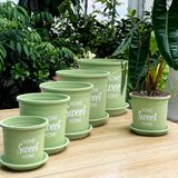  Chậu nhựa trồng cây VIETPOT, màu xanh Mint, hoa văn Sweet Home, trồng hoa kiểng lá, để nhà sân vườn. 