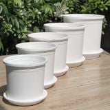  Chậu nhựa trồng cây VIETPOT, màu trắng trơn, trồng hoa kiểng, hoa hồng, để ban công, sân vườn. 