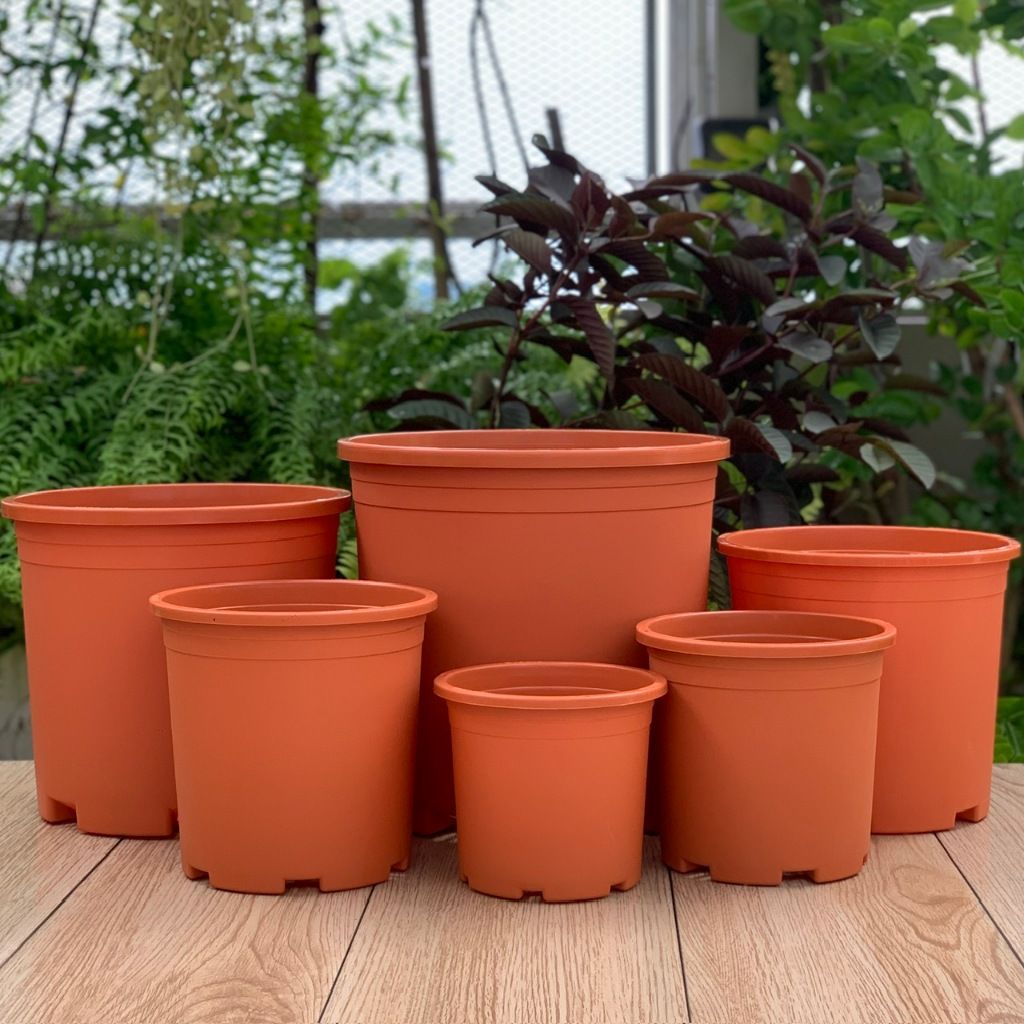  Chậu nhựa trồng cây VIETPOT, màu Cam Trơn, trồng kiểng lá, hoa hồng, để ban công, sân vườn. 