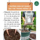 Giá thể trồng kiểng lá VIETPOT, trộn sẵn, chuyên dùng cho cây trong nhà, ngoài trời, Monstera... 