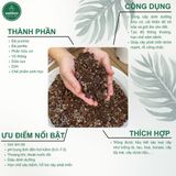 Giá thể trồng kiểng lá VIETPOT, trộn sẵn, chuyên dùng cho cây trong nhà, ngoài trời, Monstera... 