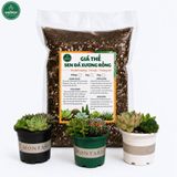  Giá thể sen đá xương rồng VIETPOT, Phối Trộn Sẵn, hỗ trợ thoát nước, giữ ẩm cực kì tốt, . 