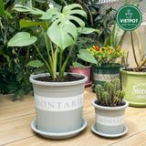  Chậu nhựa trồng cây VIETPOT, màu xám Montario, trồng hoa kiểng, trang trí ban công, sân vườn. 