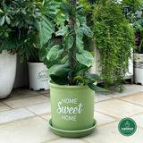  Chậu nhựa trồng cây VIETPOT, màu xanh Mint, hoa văn Sweet Home, trồng hoa kiểng lá, để nhà sân vườn. 