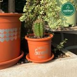  Chậu nhựa trồng cây VIETPOT, màu cam, hoa văn Sweet Home, trồng hoa kiểng lá, để nhà, sân vườn. 