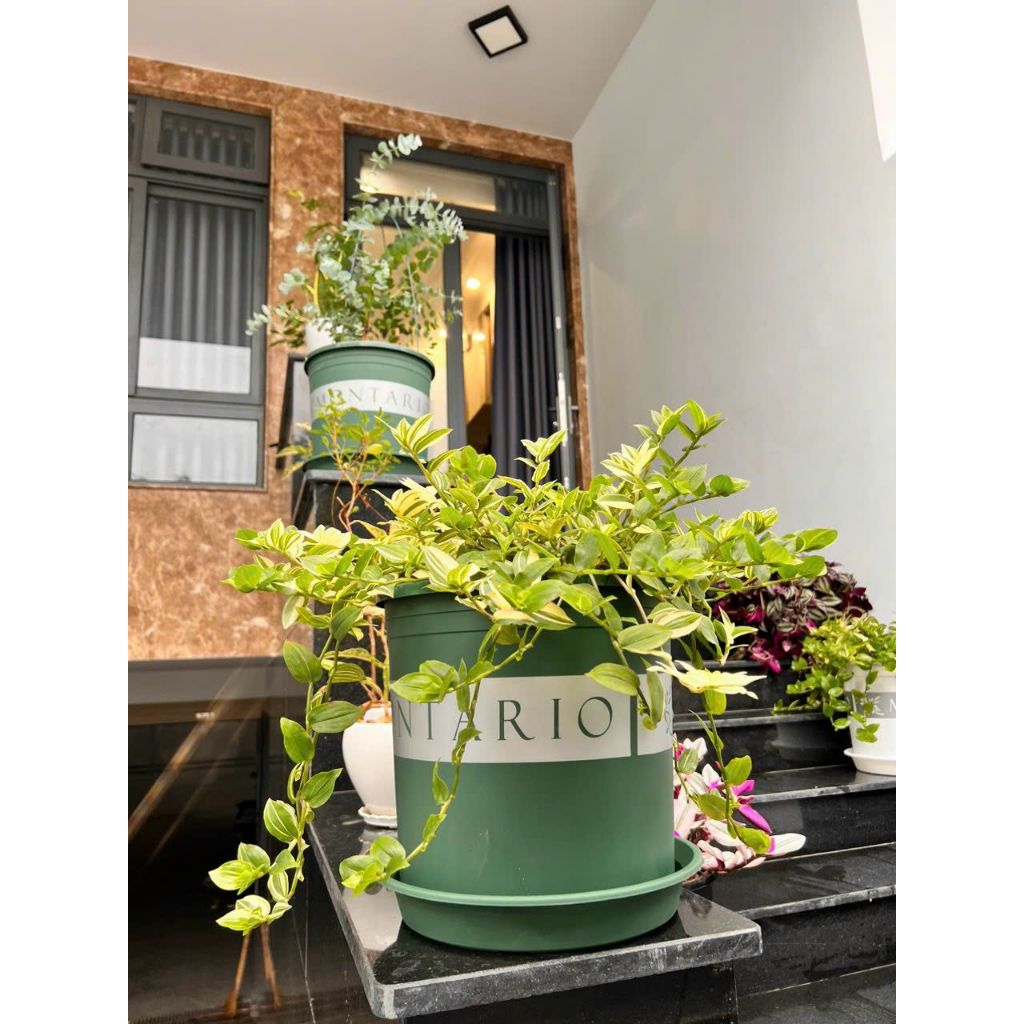  Đĩa nhựa mỏng nhẹ lót chậu cây VIETPOT, màu xanh, cây cảnh, trang trí nhà vườn, ban công 