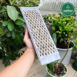  Trụ rêu bán nguyệt cao cấp VIETPOT, Size 30x10cm, hỗ trợ rễ phát triển, cây kiểng lá, kiểng lá leo. 