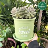  Chậu nhựa trồng cây VIETPOT, màu xanh Mint, hoa văn Sweet Home, trồng hoa kiểng lá, để nhà sân vườn. 
