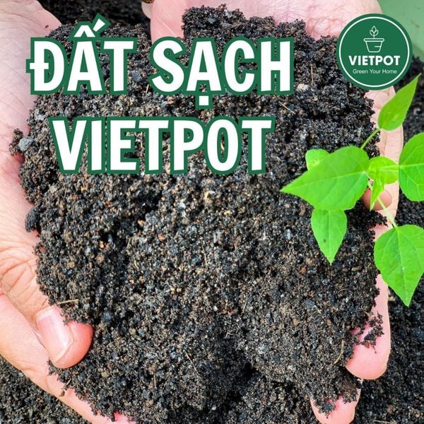  Đất sạch đa dụng VIETPOT, thích hợp trồng rau hoa, củ, quả, cây kiểng, giàu dinh dưỡng, giữ ẩm tốt. 