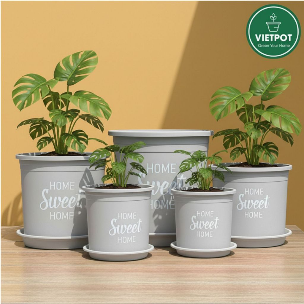  Chậu nhựa trồng cây VIETPOT, màu xám, hoa văn Sweet Home, trồng hoa kiểng lá, để nhà, sân vườn. 