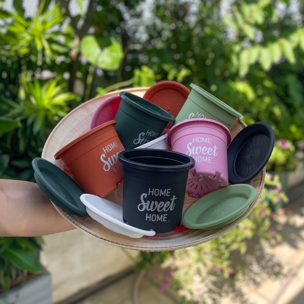  Chậu nhựa trồng cây VIETPOT, size nhỏ 13x11cm, Sweet Home, trồng hoa kiểng, để sân vườn, bàn. 