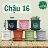  Chậu nhựa trồng cây VIETPOT, size 16x14cm, Sweet Home, hoa hồng, kiểng lá, để bàn, sân vườn. 