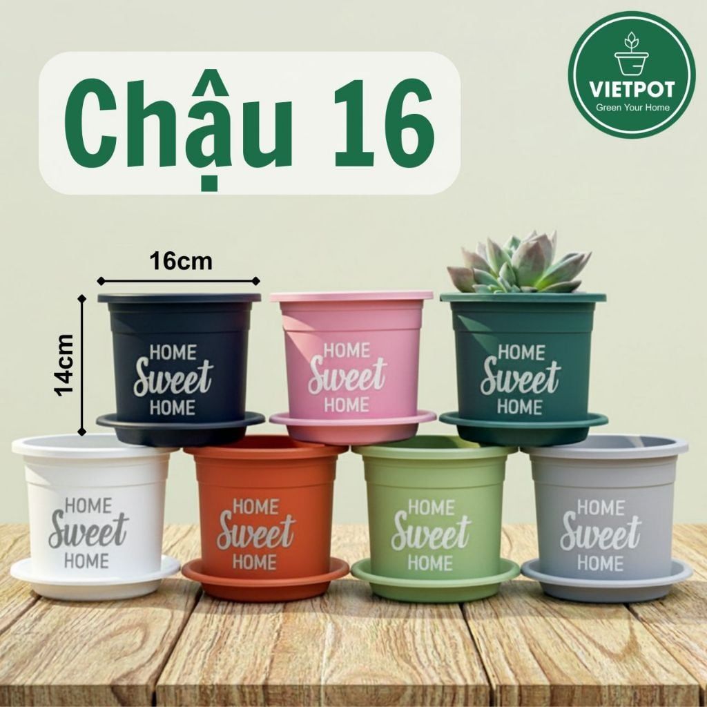  Chậu nhựa trồng cây VIETPOT, size 16x14cm, Sweet Home, hoa hồng, kiểng lá, để bàn, sân vườn. 