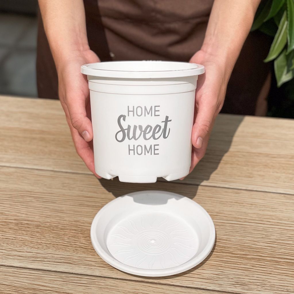  Chậu nhựa trồng cây VIETPOT, màu trắng, hoa văn Sweet Home, trồng hoa kiểng lá, để nhà, sân vườn. 