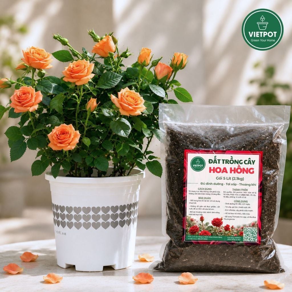  Đất trồng hoa hồng VIETPOT, NAMIX, bao 5 lít, tơi xốp, giữ ẩm tốt, hỗ trợ cây khoẻ ra hoa đẹp. 