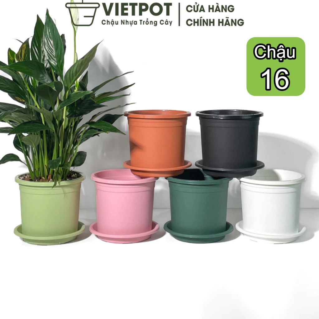  Chậu nhựa trồng cây VIETPOT, size 16x14, Trơn, kiểng lá, hoa hồng, để bàn, trang trí sân vườn. 