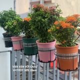  Chậu nhựa trồng cây VIETPOT, size 16x14, hoa văn tim, trồng kiểng lá, hoa hồng, để bàn, vườn. 