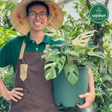  Chậu nhựa trồng cây VIETPOT, màu xanh trơn, trồng hoa kiểng, hoa hồng, để bàn, ban công, sân vườn 
