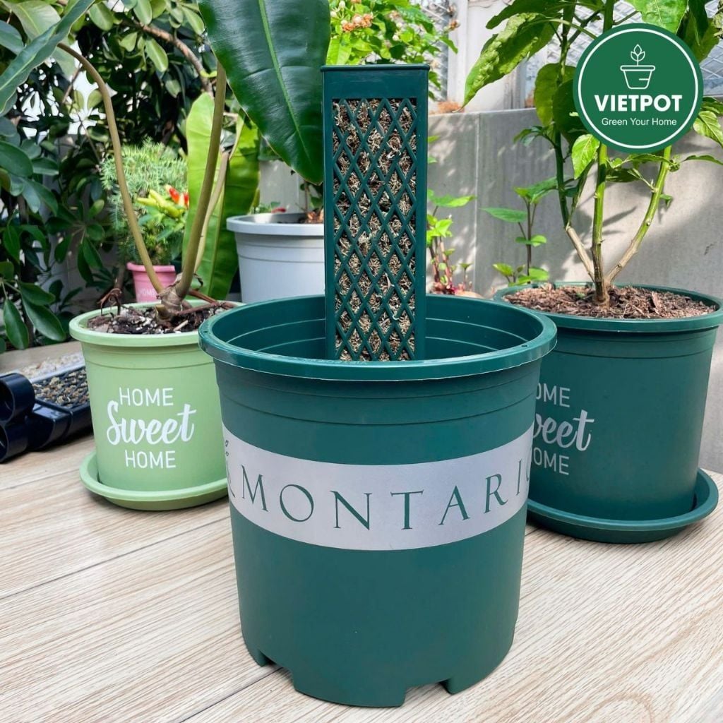  Trụ rêu bán nguyệt cao cấp VIETPOT, 30x7cm, hỗ trợ rễ phát triển, cho cây kiểng lá, kiểng lá leo 