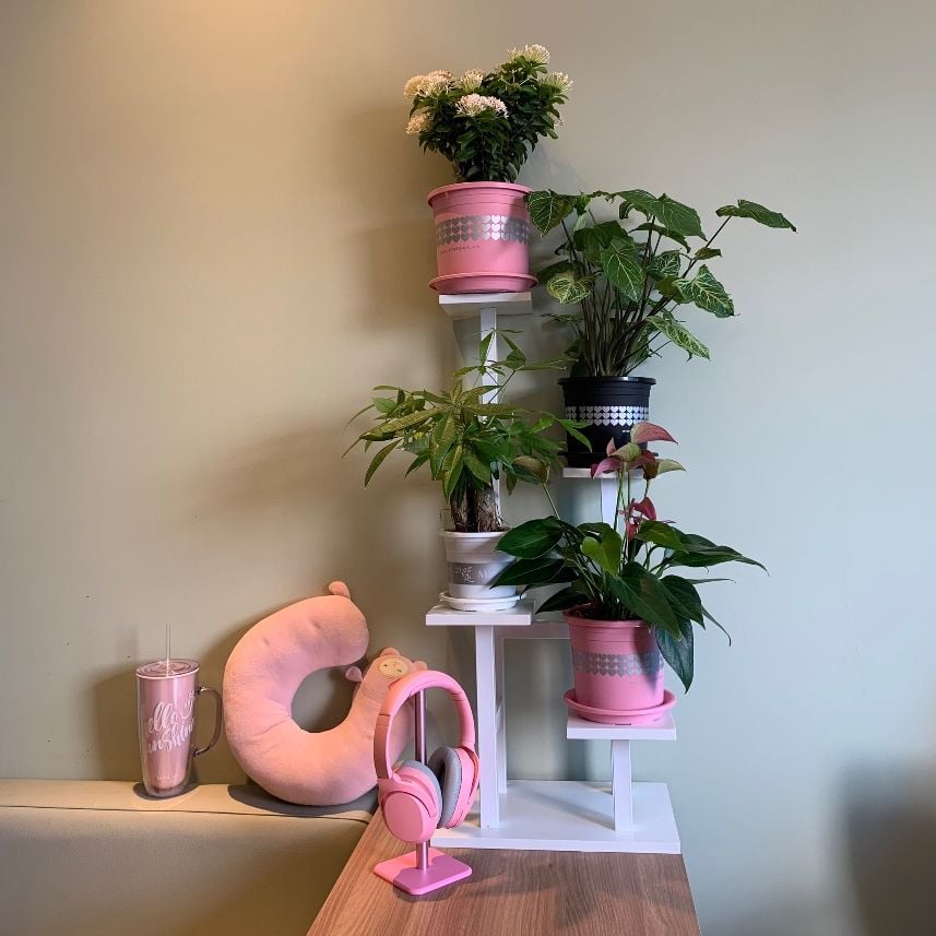  Chậu nhựa trồng cây VIETPOT, size nhỏ 13x11cm, hoa văn Tim, trồng hoa kiểng, để bàn, sân vườn 
