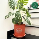  Chậu nhựa trồng cây VIETPOT, màu cam, hoa văn Sweet Home, trồng hoa kiểng lá, để nhà, sân vườn. 