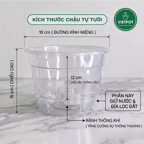  Chậu tự tưới trong suốt VIETPOT, size 19x15cm, thông minh, trang trí nhà cửa, ban công, sân vườn. 