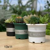  Chậu nhựa trồng cây VIETPOT, size nhỏ 13x11cm, MONTARIO, trồng kiểng lá hoa, để bàn, sân vườn 