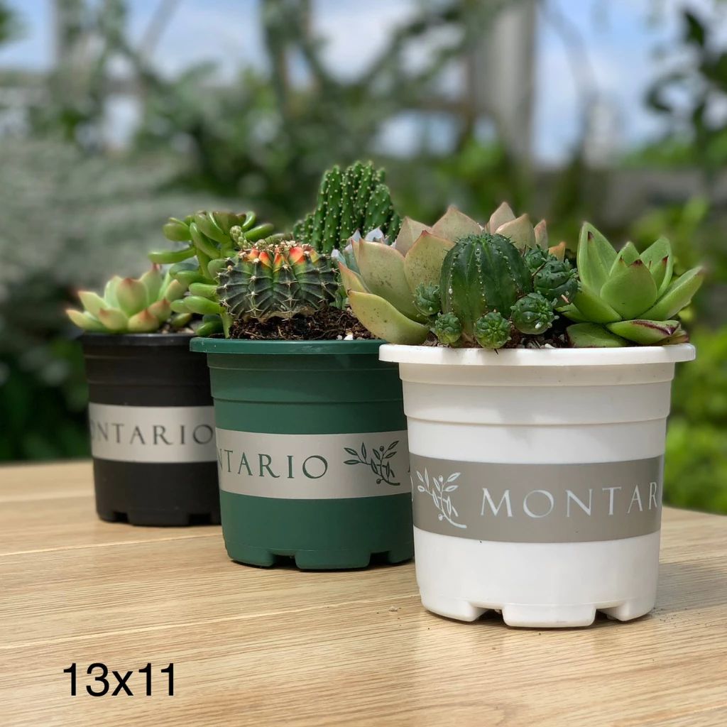  Chậu nhựa trồng cây VIETPOT, size nhỏ 13x11cm, MONTARIO, trồng kiểng lá hoa, để bàn, sân vườn 