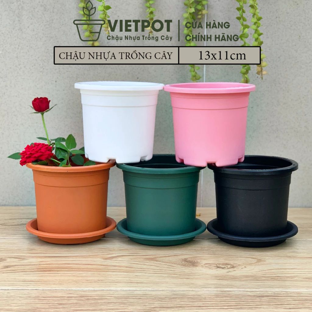  Chậu nhựa trồng cây VIETPOT, size 13x11, trơn, chính hãng, kiếng lá hoa, sen đá, bàn làm việc 