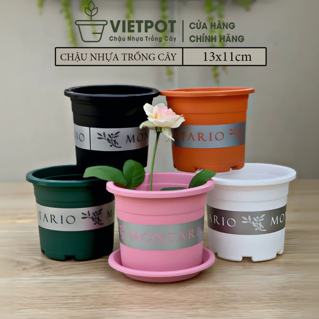  Chậu nhựa trồng cây VIETPOT, size nhỏ 13x11cm, MONTARIO, trồng kiểng lá hoa, để bàn, sân vườn 