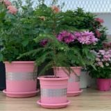  Chậu nhựa trồng cây VIETPOT, size nhỏ 13x11cm, hoa văn Tim, trồng hoa kiểng, để bàn, sân vườn 