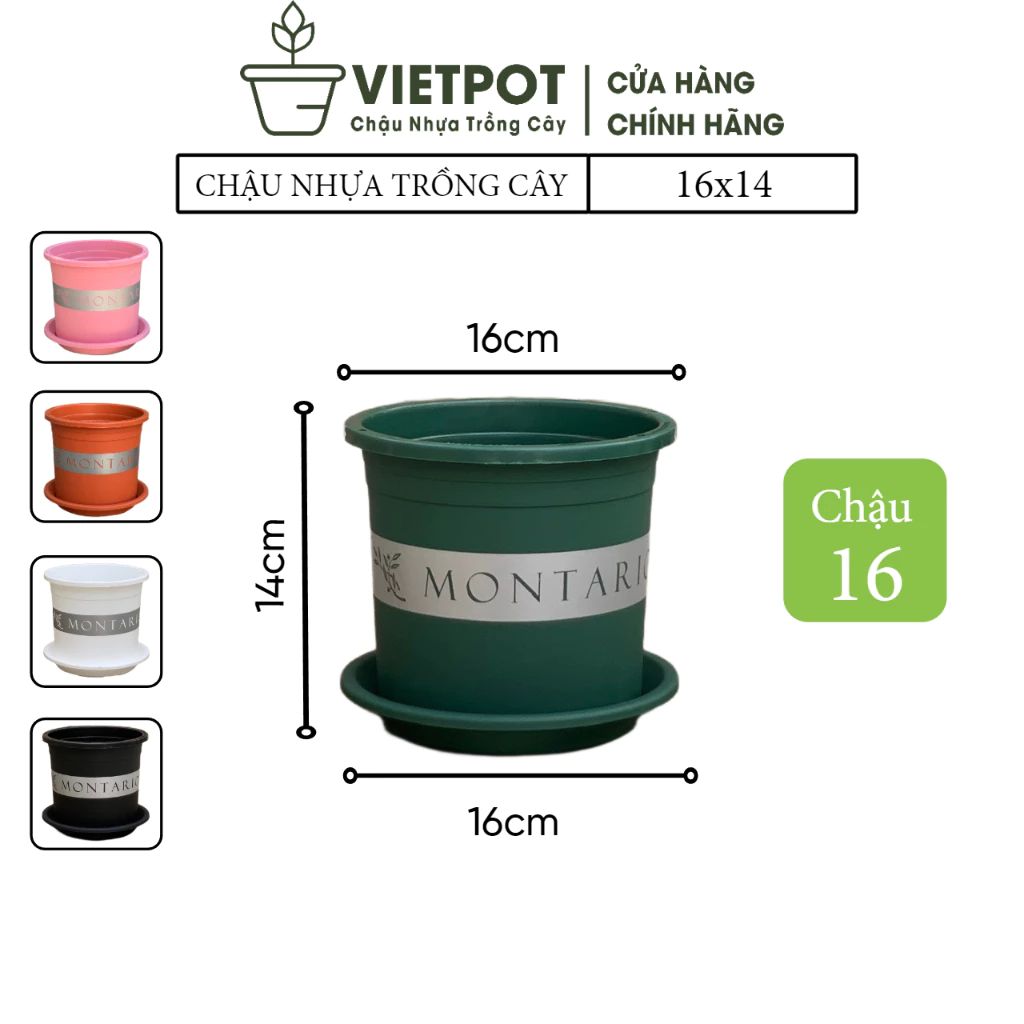  Chậu Nhựa Trồng Cây VIETPOT, size 16x14 Montario, trồng kiểng lá hoa hồng, trang trí sân vườn. 