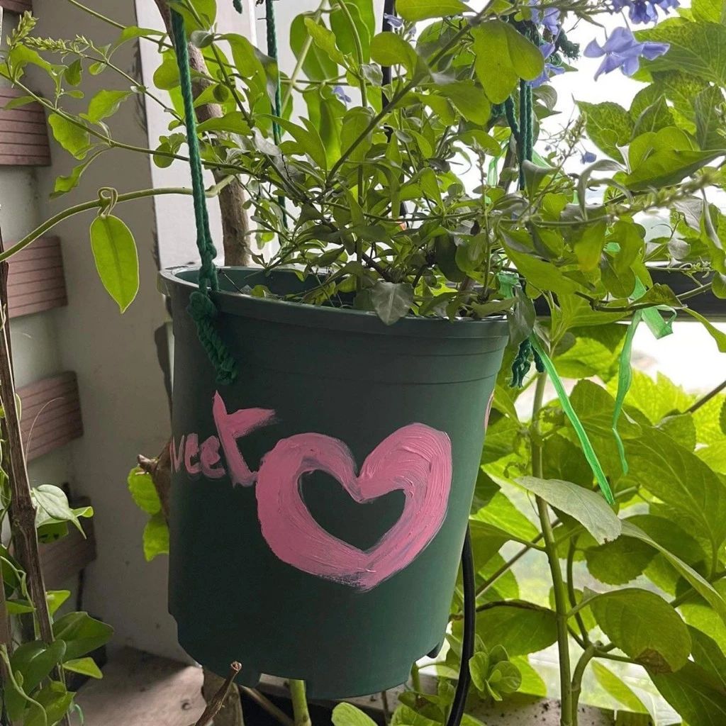  Chậu nhựa trồng cây VIETPOT, size 16x14, Trơn, kiểng lá, hoa hồng, để bàn, trang trí sân vườn. 