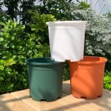  Chậu nhựa trồng cây VIETPOT, size 16x14, Trơn, kiểng lá, hoa hồng, để bàn, trang trí sân vườn. 