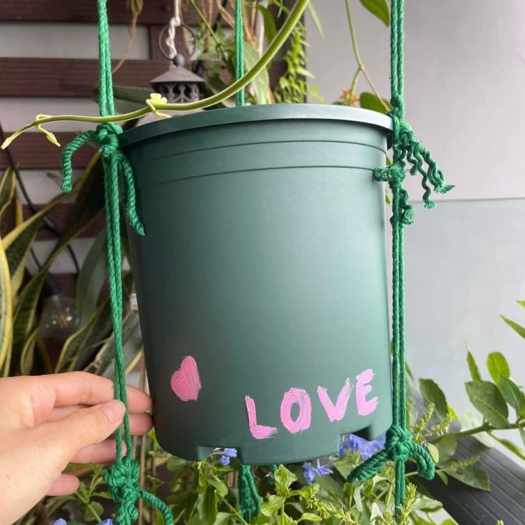  Chậu nhựa trồng cây VIETPOT, size 16x14, Trơn, kiểng lá, hoa hồng, để bàn, trang trí sân vườn. 