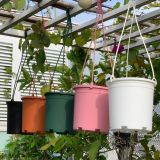  Chậu nhựa treo ban công VIETPOT, trơn, chính hãng, cây kiểng, cây hoa, trang trí sân vườn. 