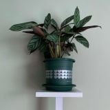  Chậu nhựa trồng cây VIETPOT, size nhỏ 13x11cm, hoa văn Tim, trồng hoa kiểng, để bàn, sân vườn 